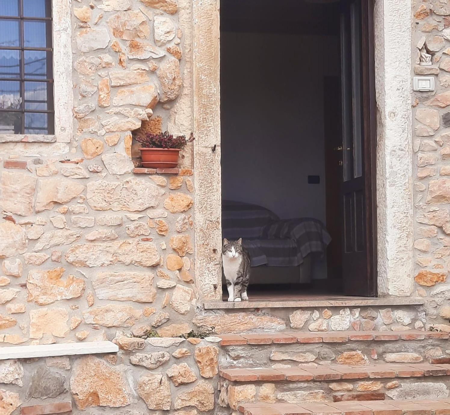 Al Colle Rooms Montebello Vicentino Dış mekan fotoğraf