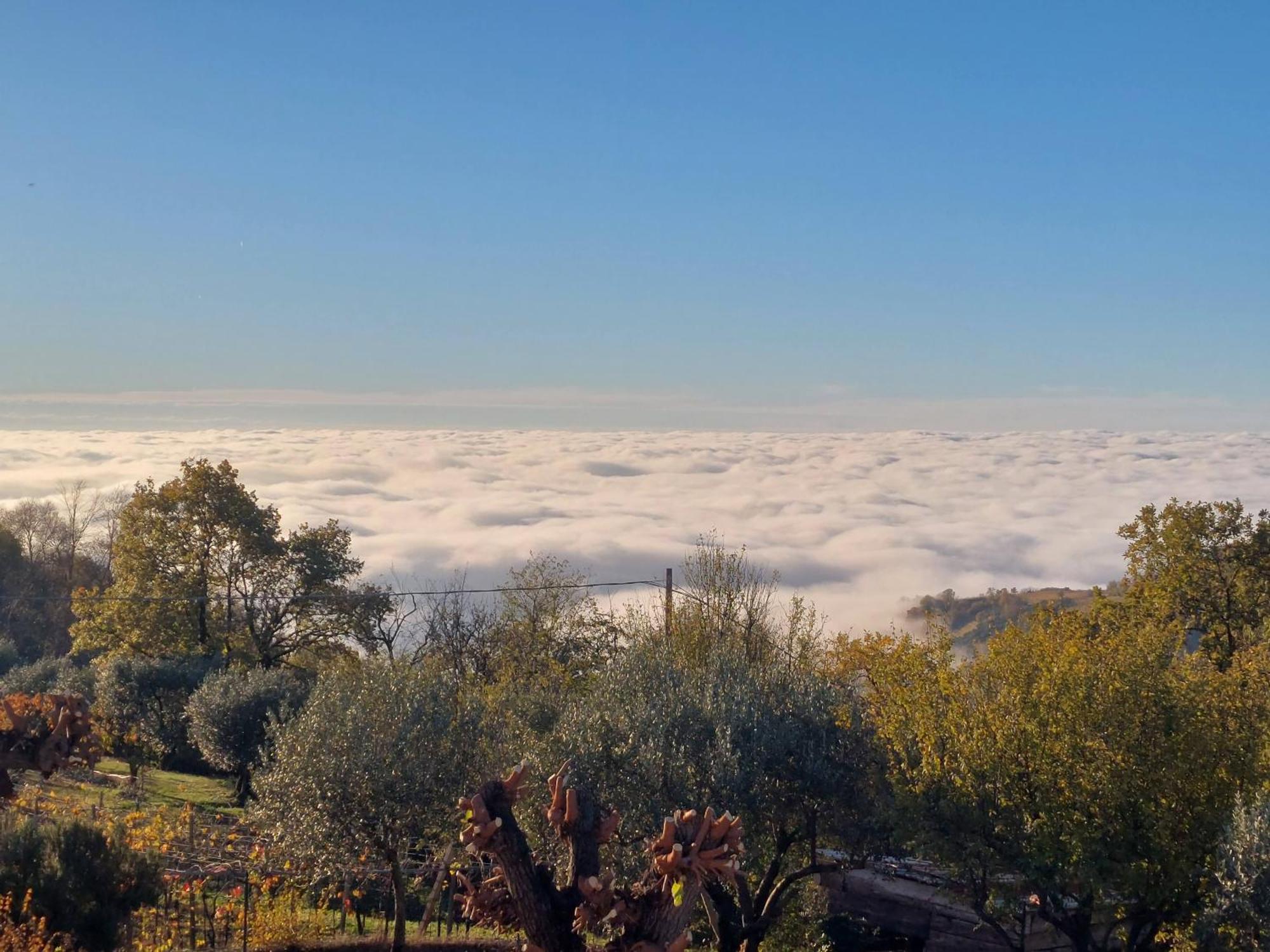 Al Colle Rooms Montebello Vicentino Dış mekan fotoğraf