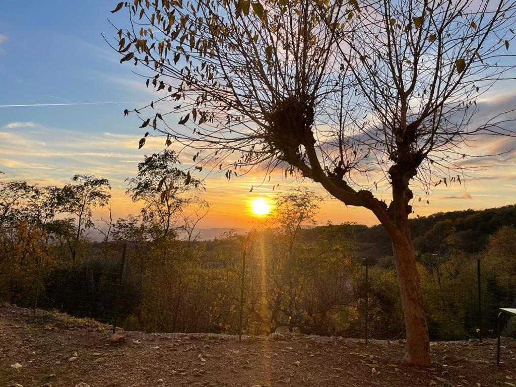 Al Colle Rooms Montebello Vicentino Dış mekan fotoğraf